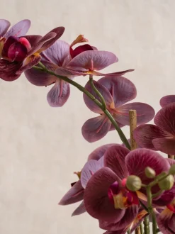 Scottish Everlastings Ltd Artificial Real Touch Phalaenopsis Orchid in Pot