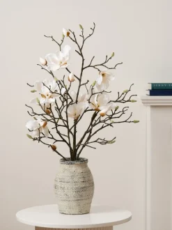 Scottish Everlastings Ltd Artificial Magnolia In Resin Pot