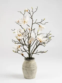 Scottish Everlastings Ltd Artificial Magnolia In Resin Pot