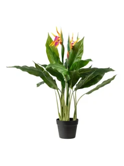 Scottish Everlastings Ltd Artificial Bird of Paradise Tree with Flower