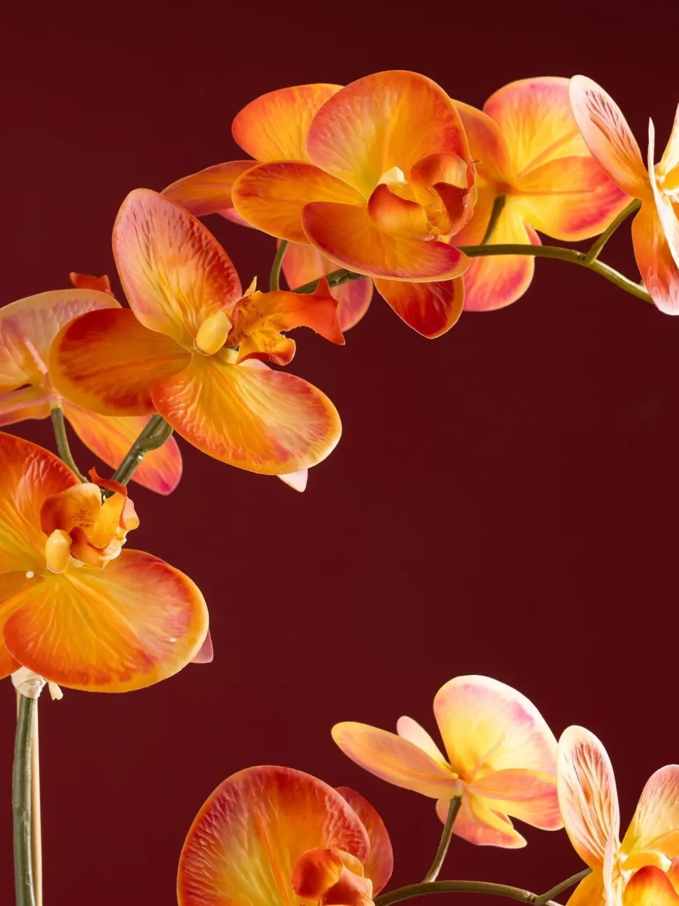 Scottish Everlastings Ltd Artificial Real Touch Orchid