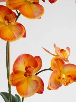 Scottish Everlastings Ltd Artificial Real Touch Orchid