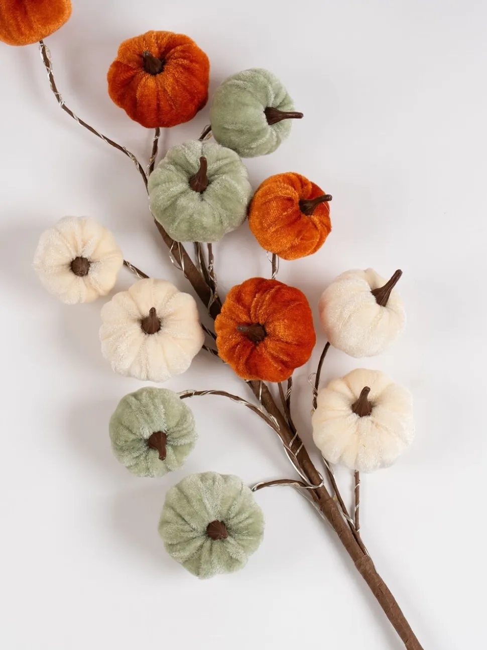 Scottish Everlastings Ltd Set of 2 Velvet Pumpkin Pre lit Stems