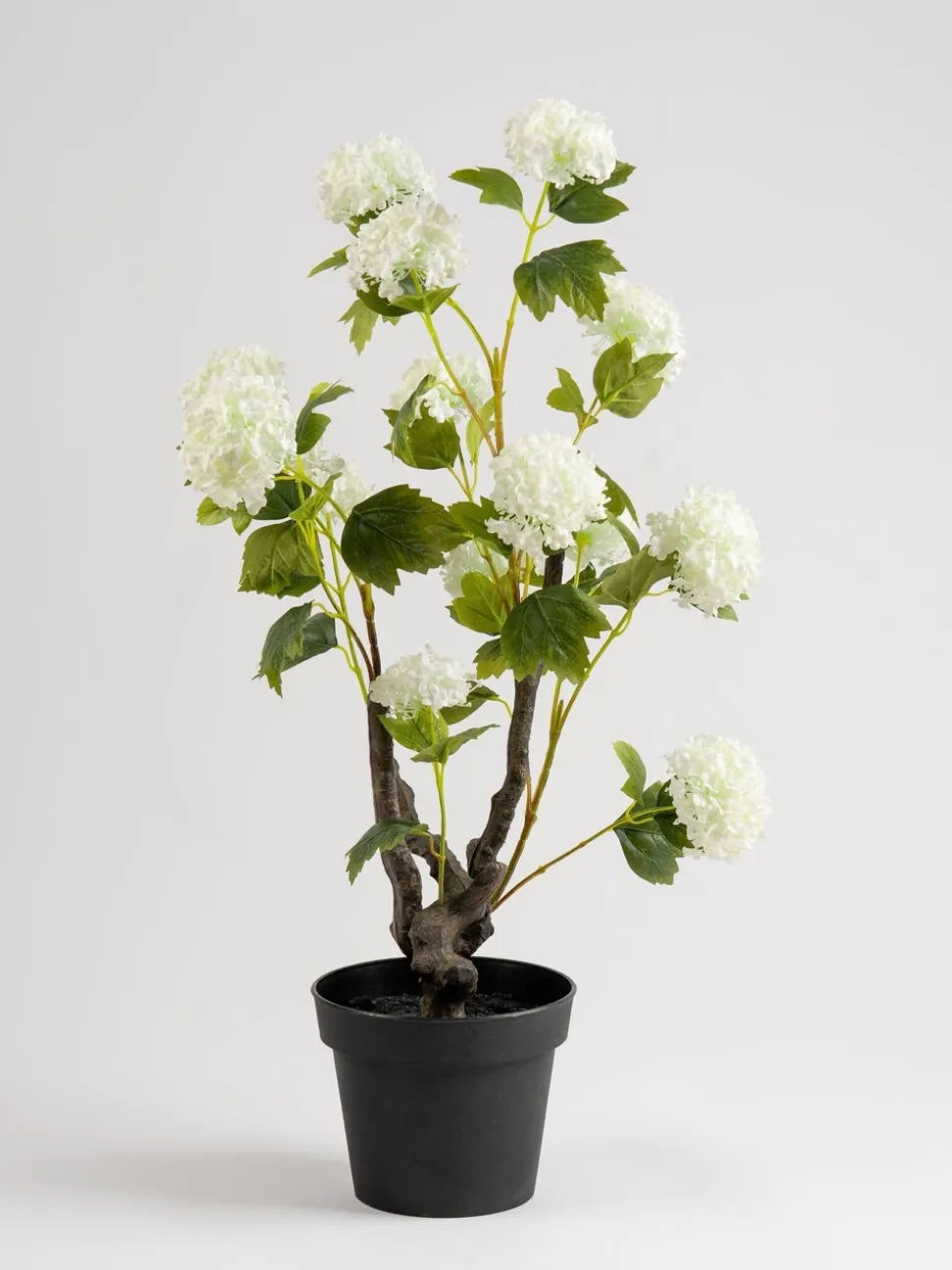 Scottish Everlastings Ltd Artificial Potted Hydrangea Plant