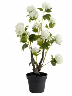 Scottish Everlastings Ltd Artificial Potted Hydrangea Plant
