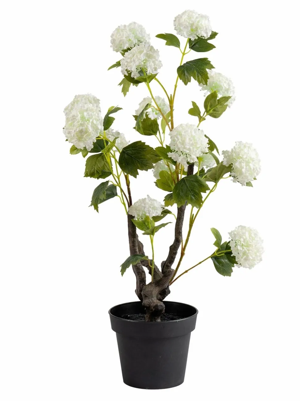 Scottish Everlastings Ltd Artificial Potted Hydrangea Plant