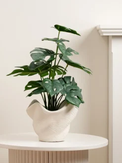 Scottish Everlastings Ltd Artificial Variegated Monstera in Cement Pot