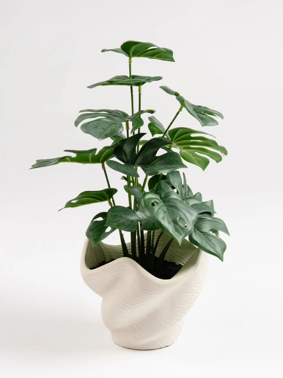 Scottish Everlastings Ltd Artificial Variegated Monstera in Cement Pot