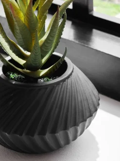 Set of 3 Artificial Succulents In Black Bronx Pots