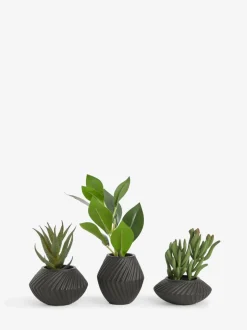 Set of 3 Artificial Succulents In Black Bronx Pots