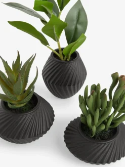 Set of 3 Artificial Succulents In Black Bronx Pots