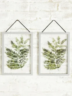 Set van 2 zwevende planten in grijze hanglijsten voor aan de wand