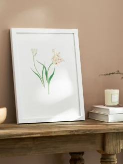 Sophie Allport Tulpen Print Kunstwerk