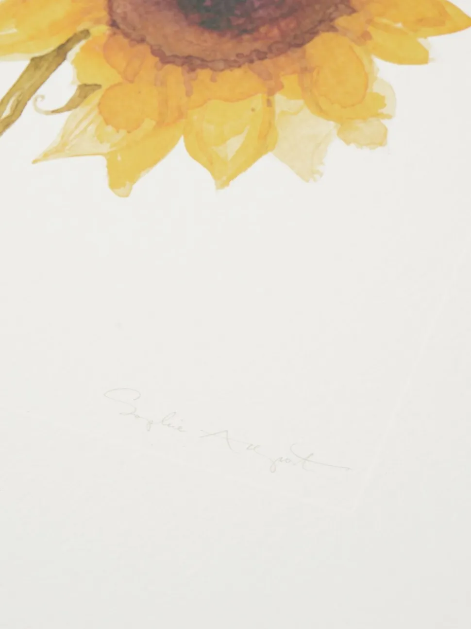Sophie Allport wanddecoratie met meerdere zonnebloemprints