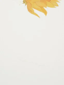 Sophie Allport Zonnebloem Watercolour Print