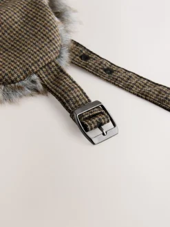Tandcontrole bij bruine honden - Wintermuts